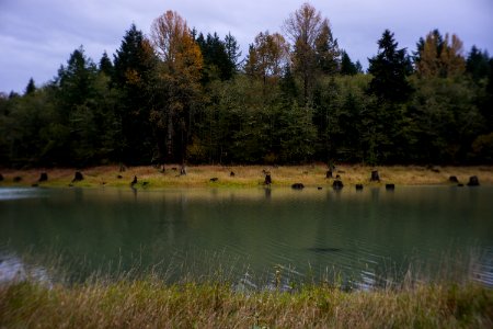 Near Mt. Rainier national park 4 photo