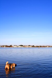 Water coast lakeland
