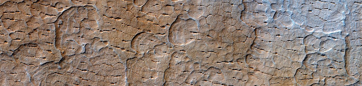 Mars - Scalloped Terrain in Utopia Planitia photo