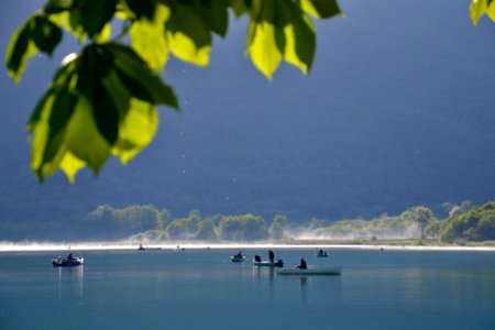 Au milieu des fées photo