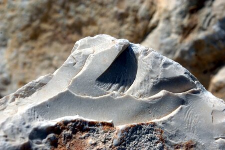 Print fragment apex