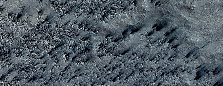 Mars - Polygons and Spiders