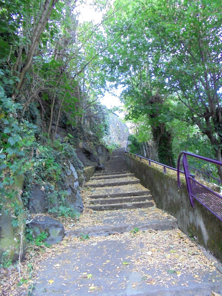 Montaudoux et Gravenoire