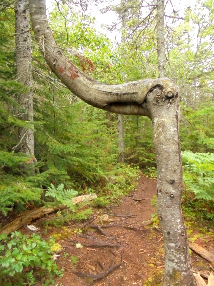Tadoussac et ses environs