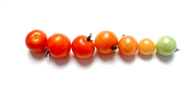 Food vegetarian fresh