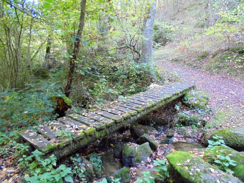 Vallée des Prades (8) photo