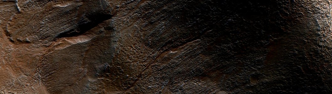 Mars - Gullies on the Floor of Newton Basin