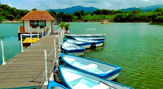 (2011-06-20)小白鷺山頂一天-15