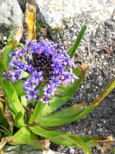 Outdoor biome photo