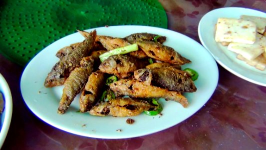 010-肇慶三天(2011-04-22)-第一天