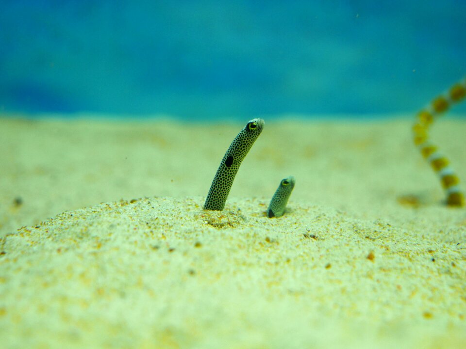 Sea good friends friend