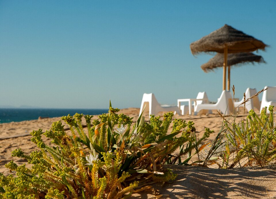 Seaside ocean terrace