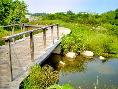 (2009-09-30)濕地公園-02