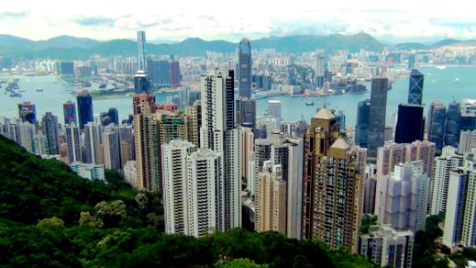(2011-06-20)小白鷺山頂一天-36