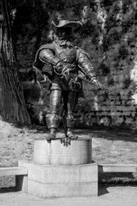 Musketeer D'Artagnan photo