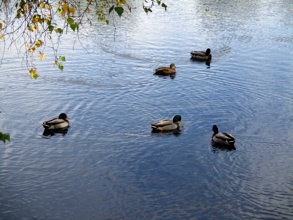 Oct. 13, 2019 - Quequechan River Rail Trail in in Fall River, Mass.