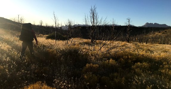 Hiking to plot through burned area