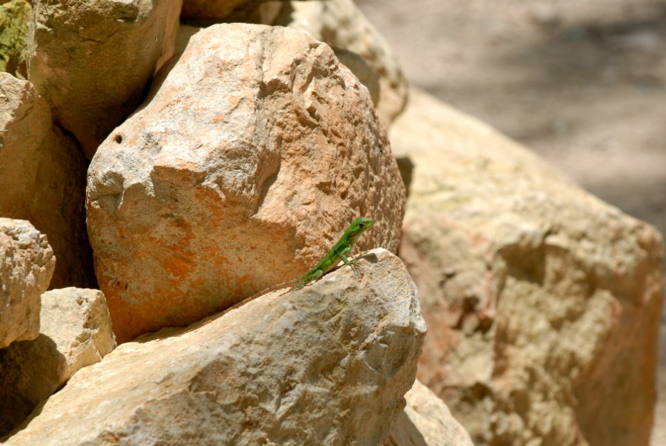 Riviera Maya (México)