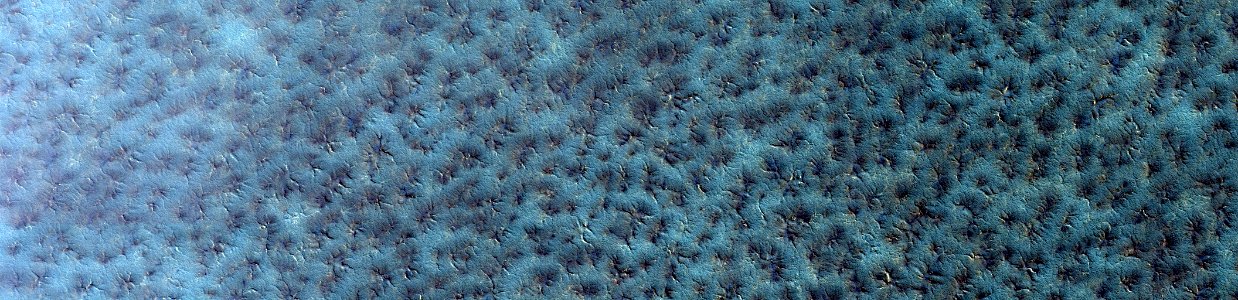 Mars - Spiders on South Polar Layered Deposits