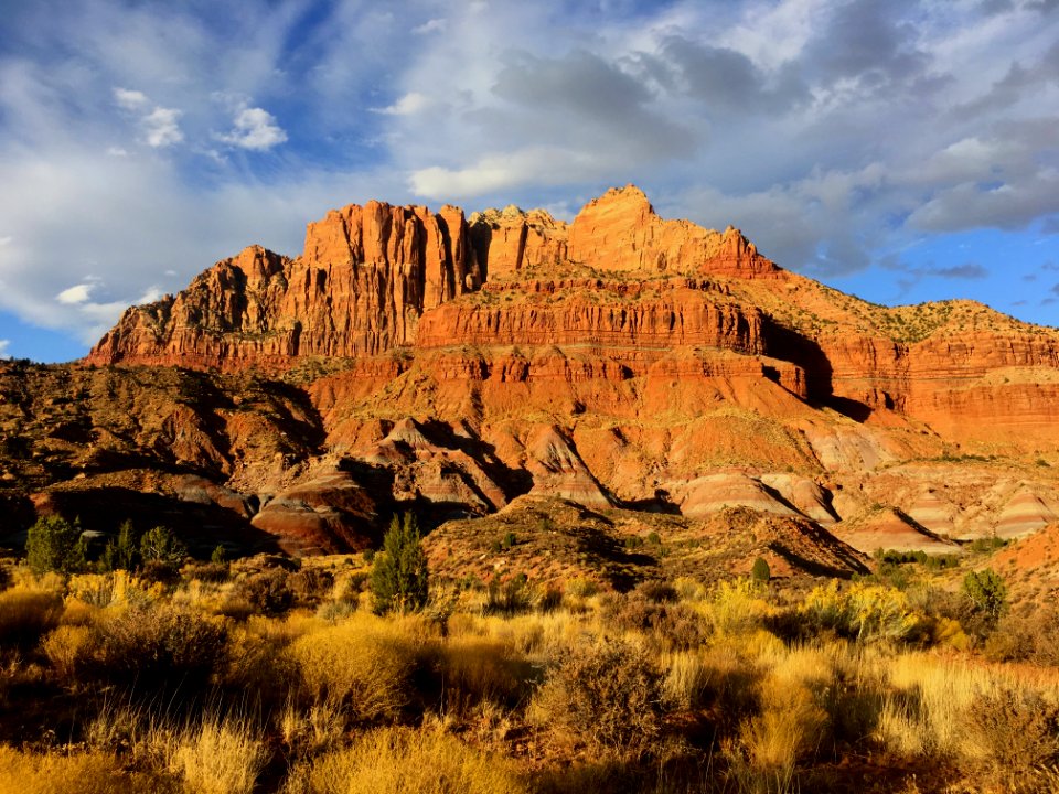 Zion on the Chinle Trail