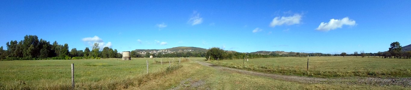 Cournon - Berges de l'Allier (9)