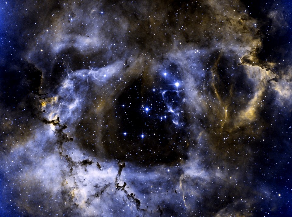 Rosette nebula in bicolor