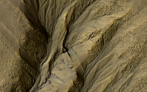 Mars - Gullies in Palikir Crater photo
