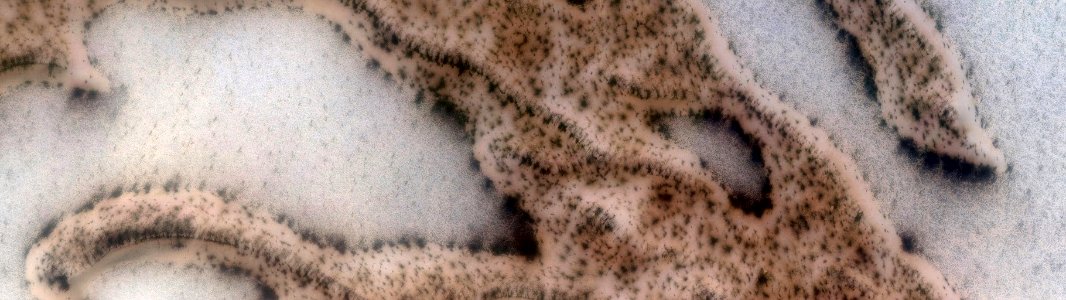 Mars - Dunes on Cemented Substrate photo