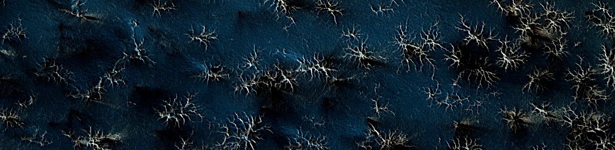 Mars - Isolated Araneiform Topography
