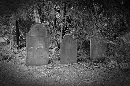 Old dead graves