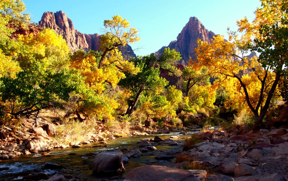 Virgin River in Fall