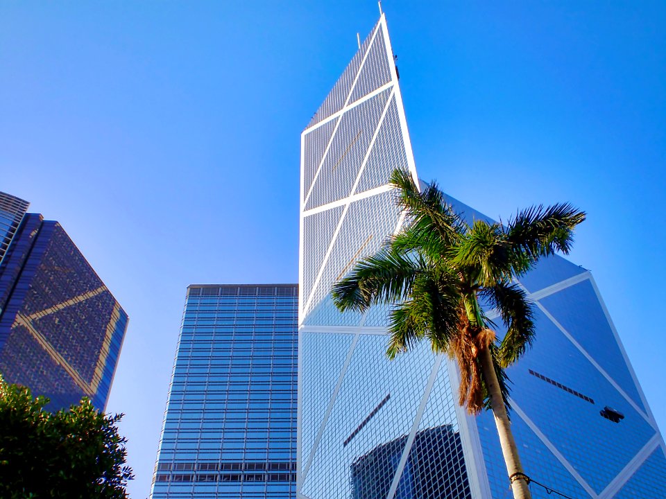 (2009-01-01)香港公園-14