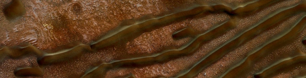 Mars - The Millipedes of Mars?