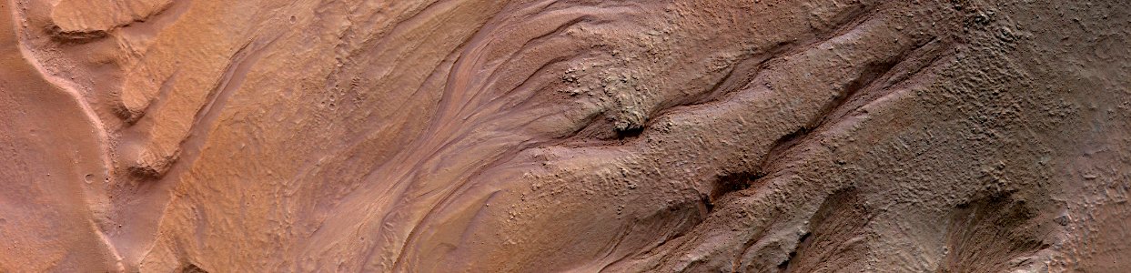 Mars - Gullies in Nereidum Montes photo