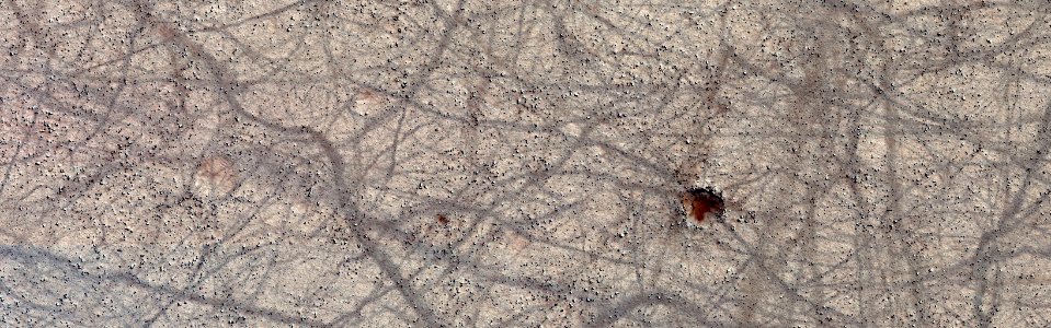 Mars - Dust Devil Tracks in Terra Cimmeria photo