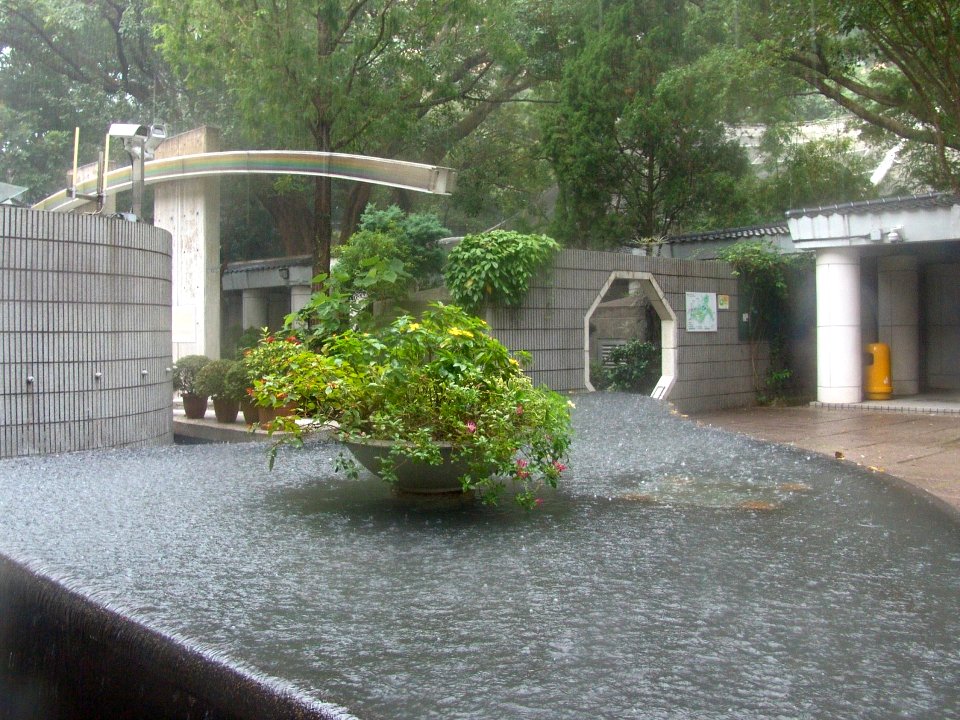 171004 08 香港公園 雨