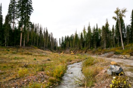 Hazeltine Creek photo