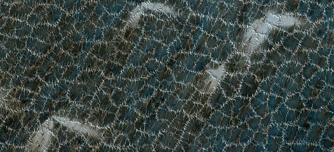 Mars -   Polar Spider Trough Network