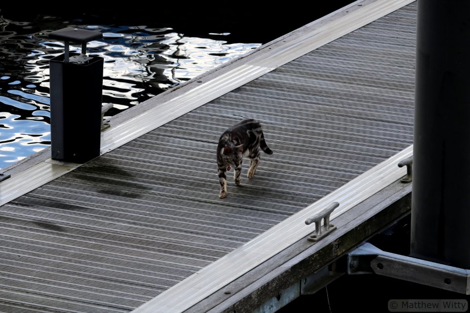 Catwalk