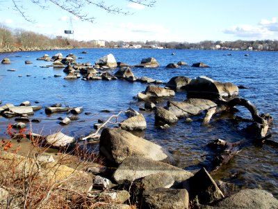 North Shore of the South Watuppa Pond in Fall River, Mass.