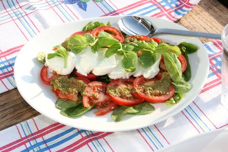 Basil tomato pesto photo