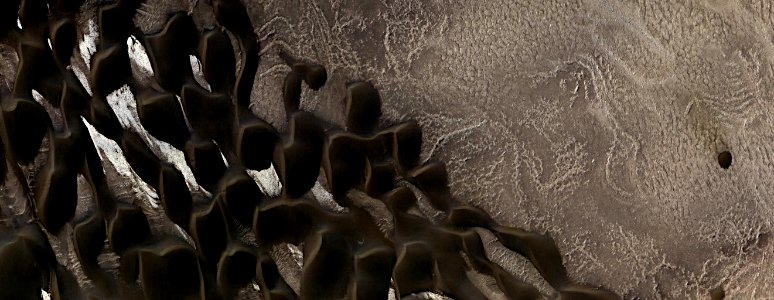 Mars - Polar Barchan Dunes