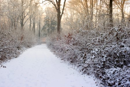 Winter. Best viewed large.