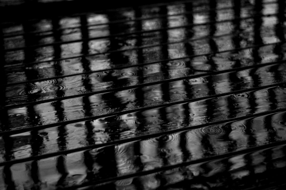 20130130 - Miscellaneous - 4984.jpg