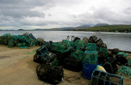 Lobster creels at west coast harbour photo