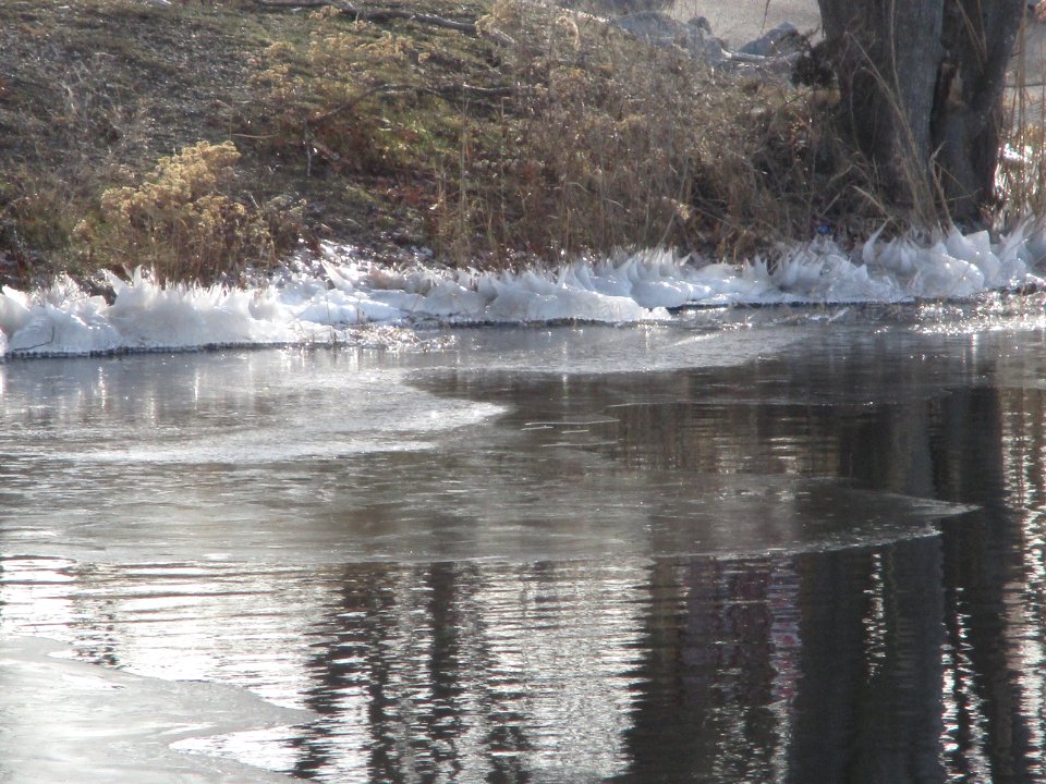 Cook Pond in Fall River, Mass.