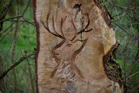 Wooden carving deer