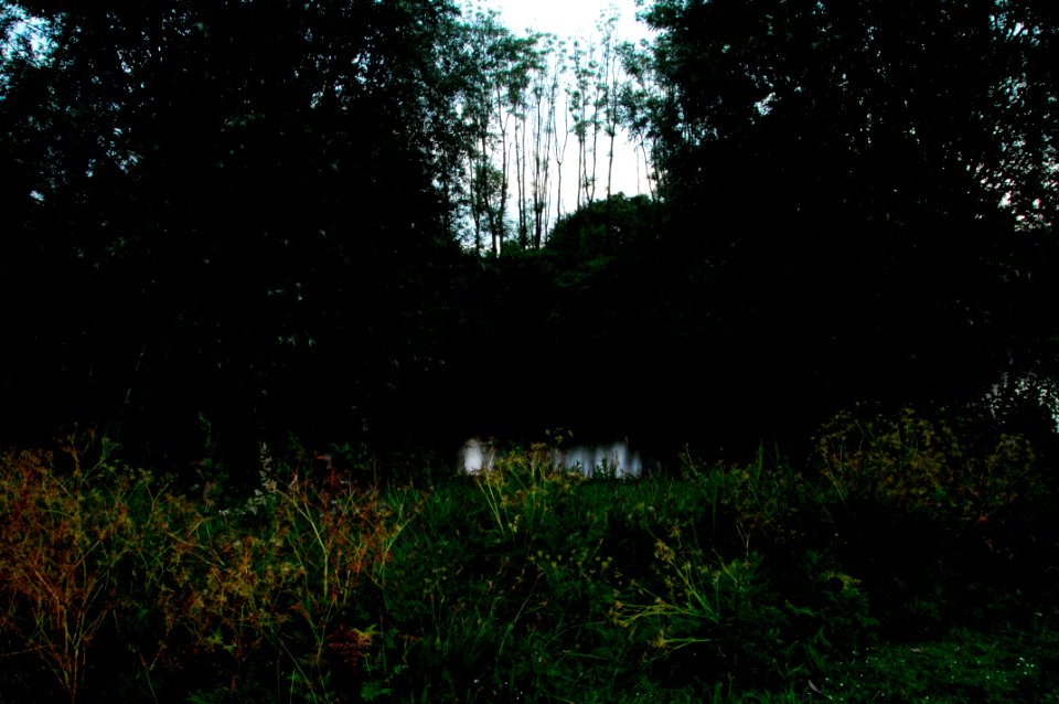 Long shutterspeed