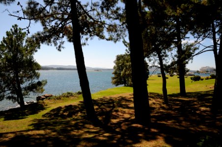 Isla de La Toja (Pontevedra, Galicia) photo