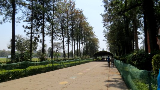 Chandigarh Rose Garden